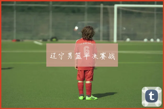 辽宁男篮半决赛战