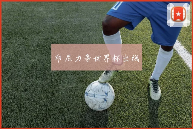 印尼力争世界杯出线
