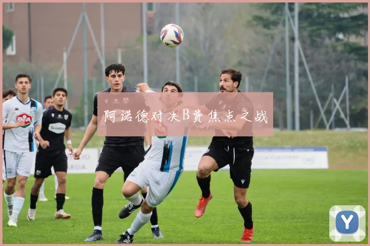 阿诺德对决B费焦点之战