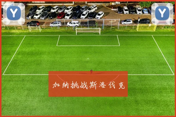 加纳挑战斯洛伐克