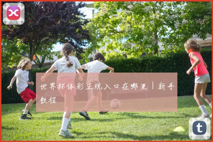 世界杯体彩正规入口在哪里｜新手教程