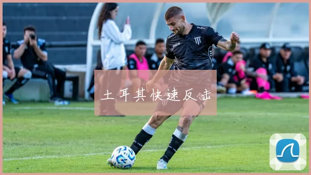 土耳其快速反击